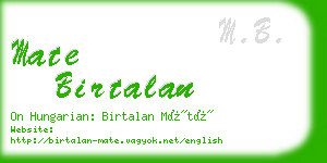 mate birtalan business card